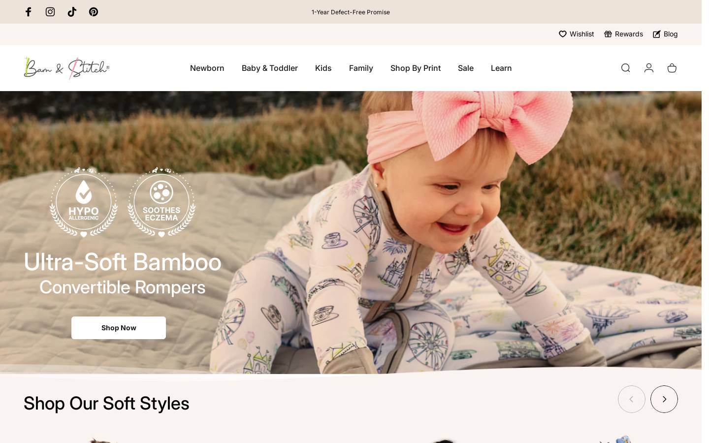 bamnstitch.com homepage screenshot