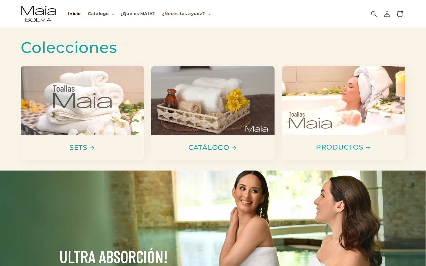 bandb-bolivia.com homepage screenshot