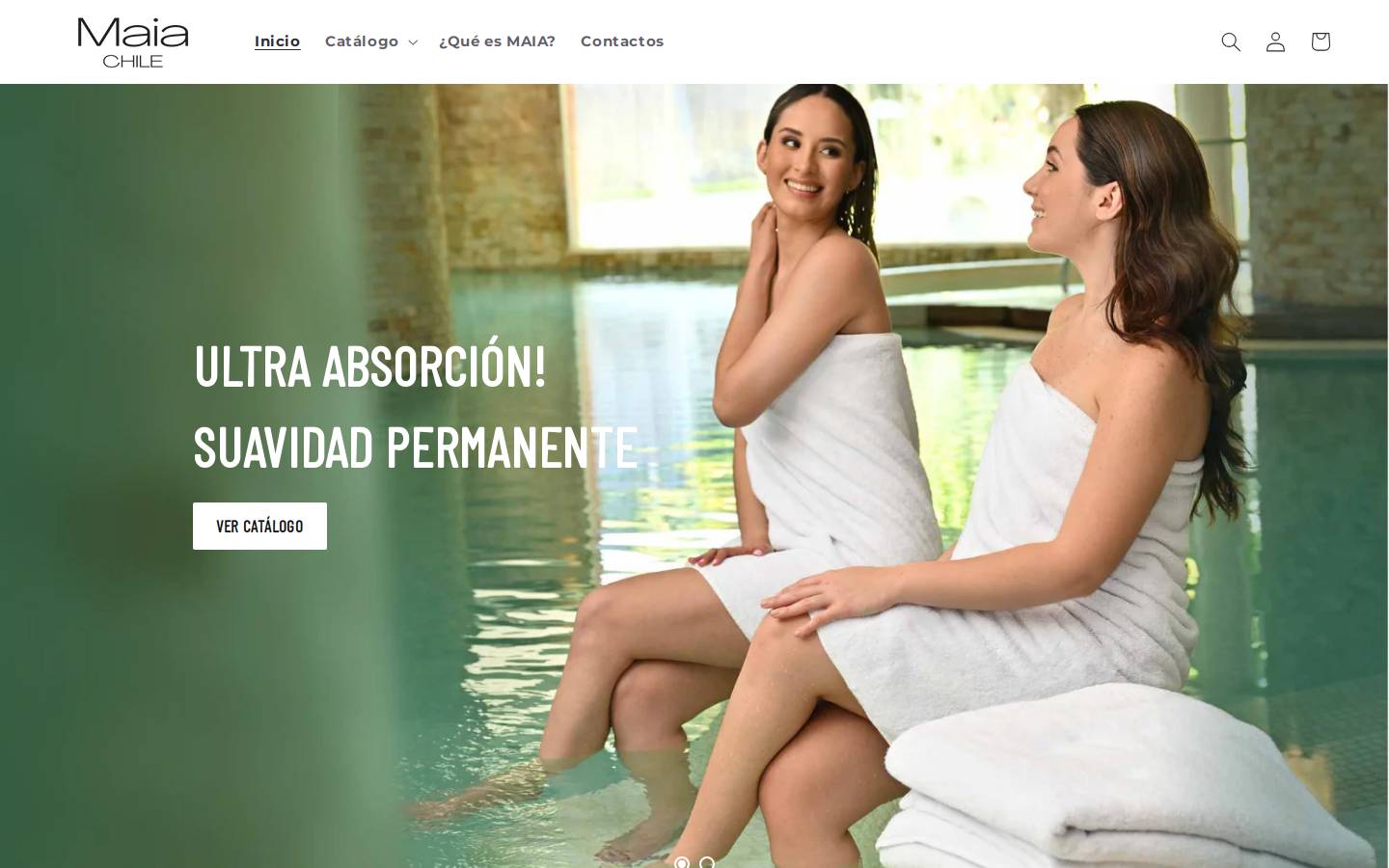bandb-chile.com homepage screenshot
