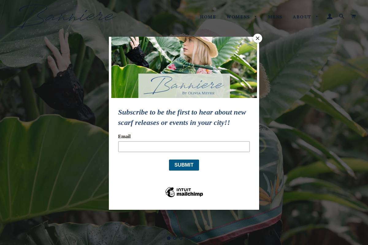 banniereco.com homepage screenshot