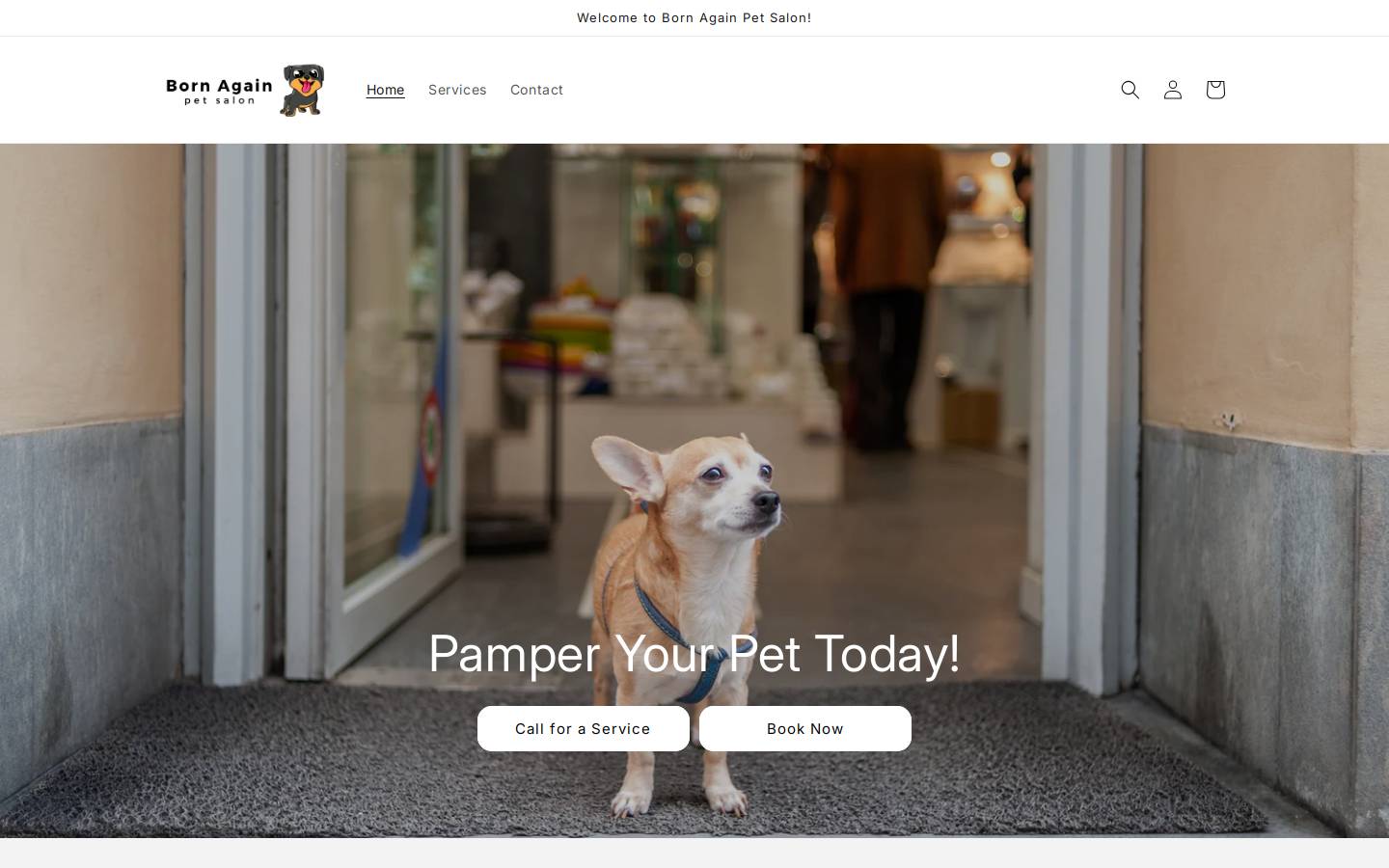 bapetsalon.com homepage screenshot