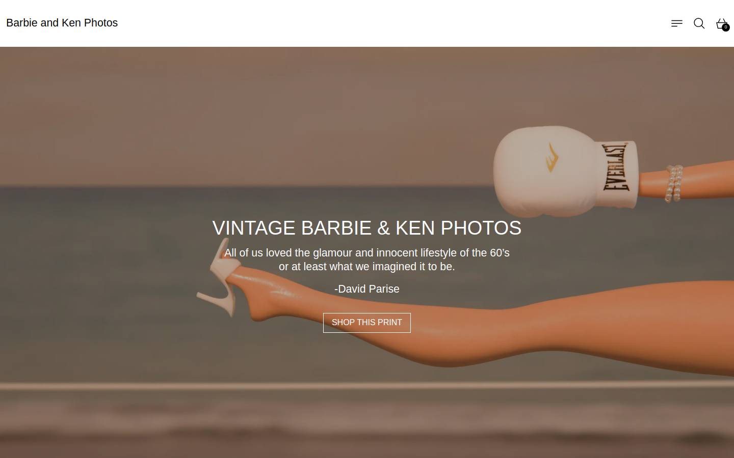 barbieandkenphotos.com homepage screenshot