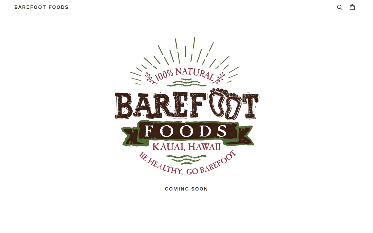 barefootfoodsco.com homepage screenshot