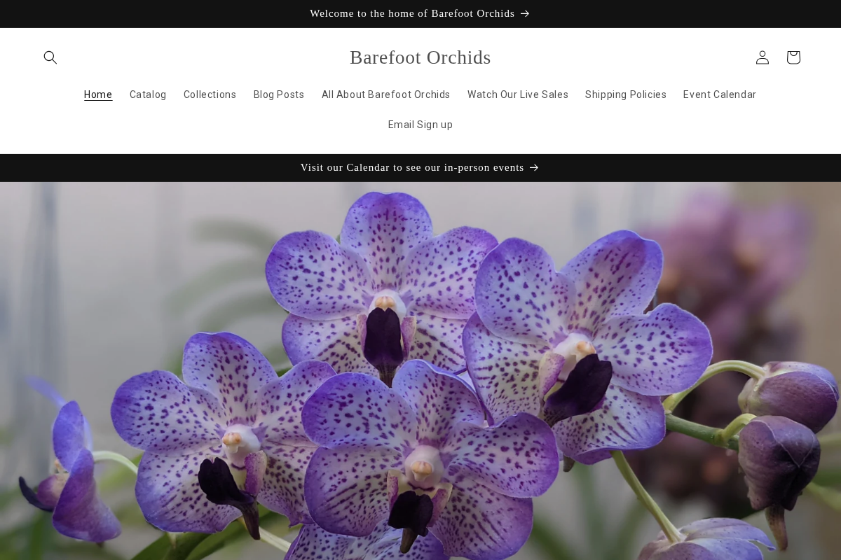Barefootorchids homepage screenshot