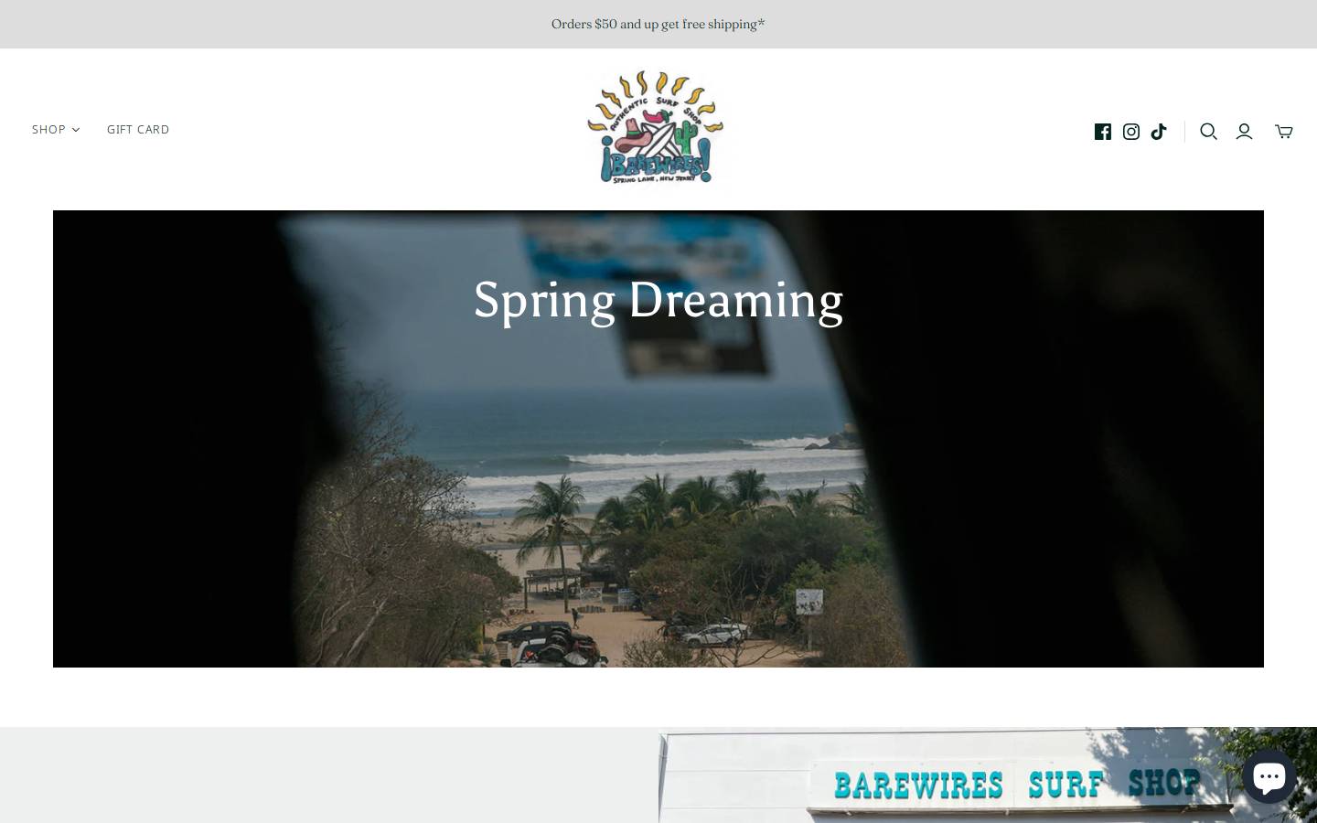 barewiresurfshop.com homepage screenshot