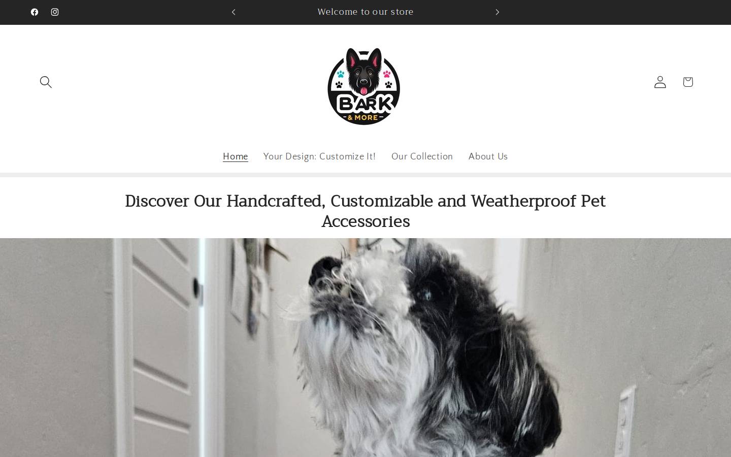 barkandmore.com homepage screenshot
