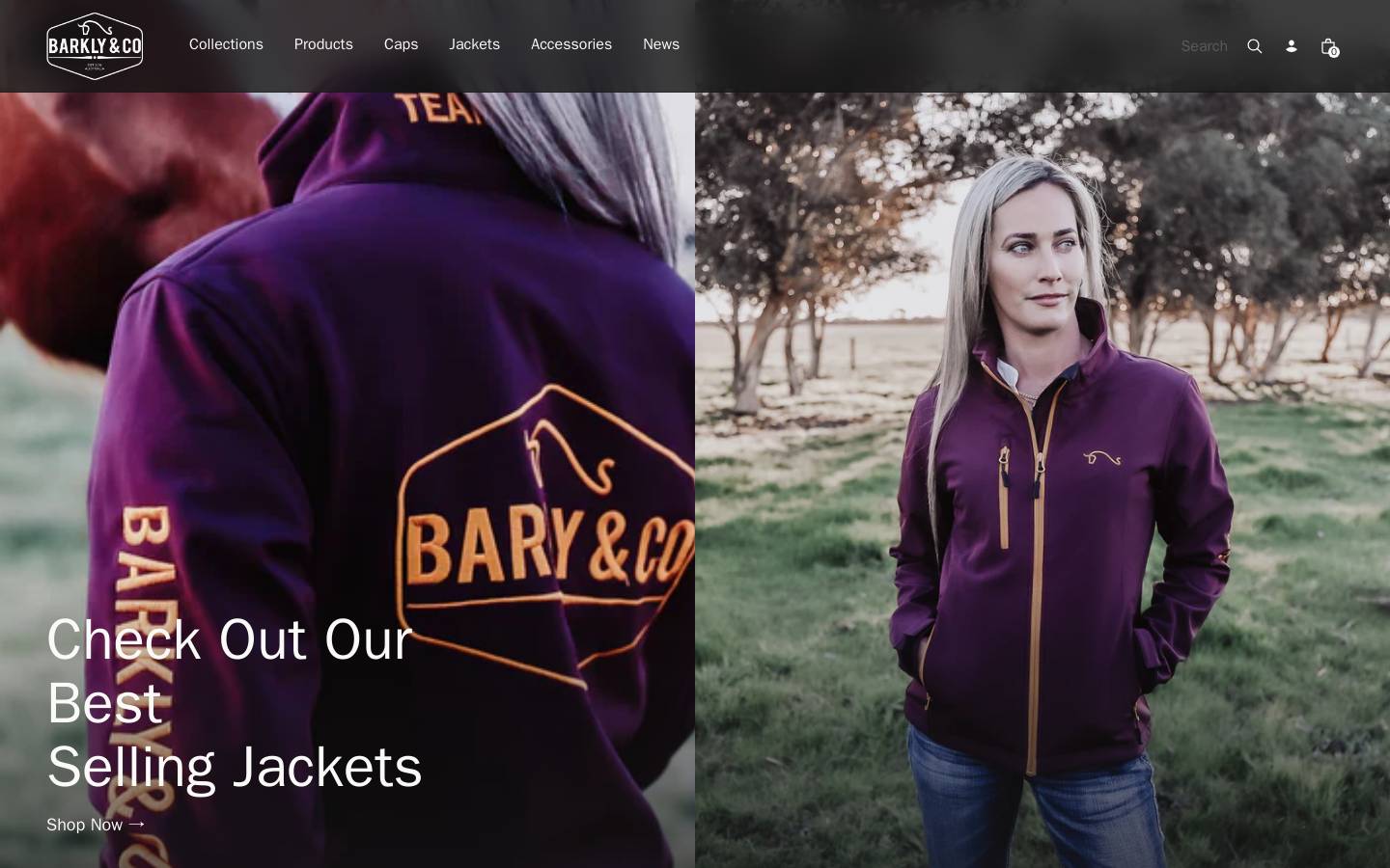 barklyandco.com homepage screenshot