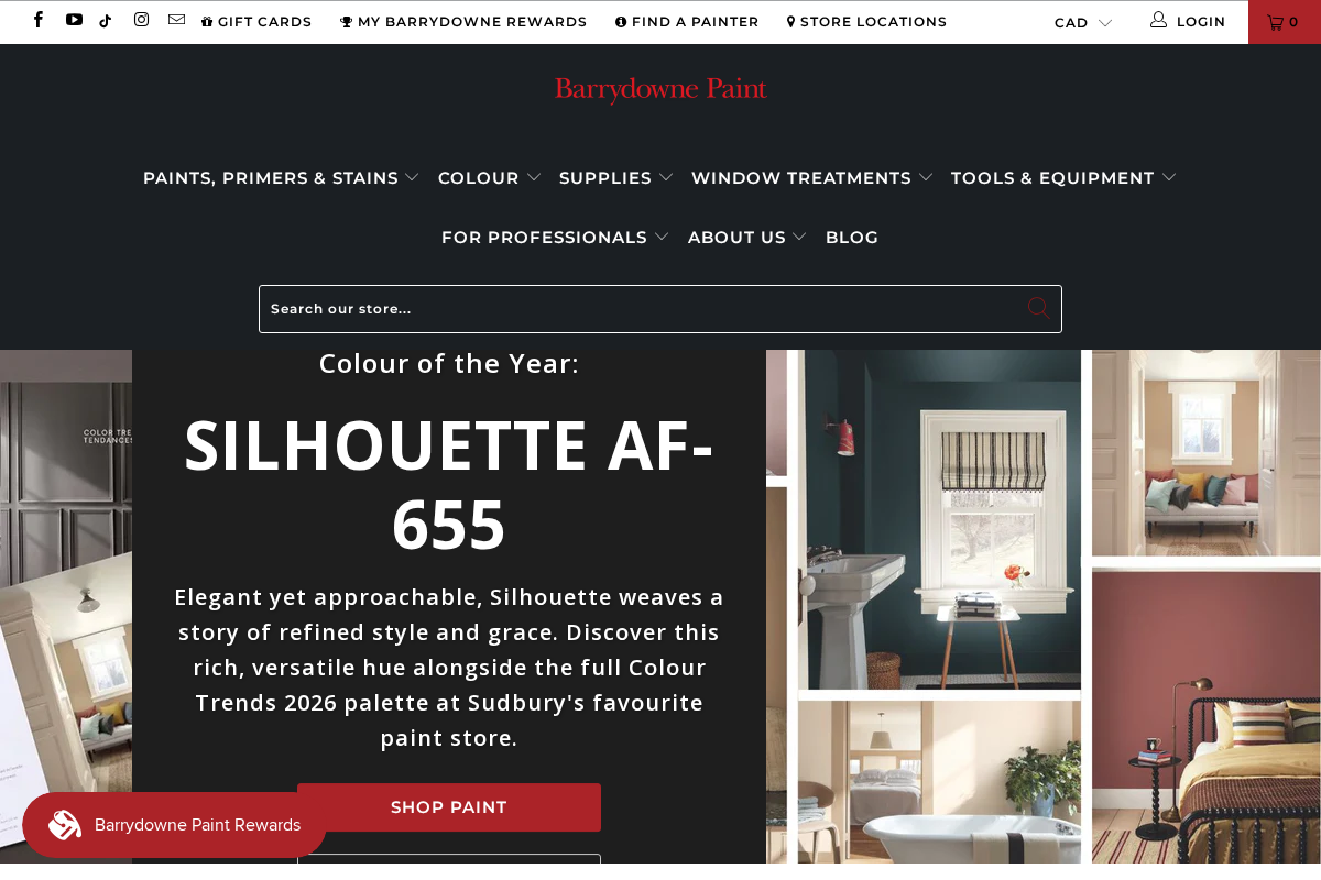 barrydownepaint.com homepage screenshot