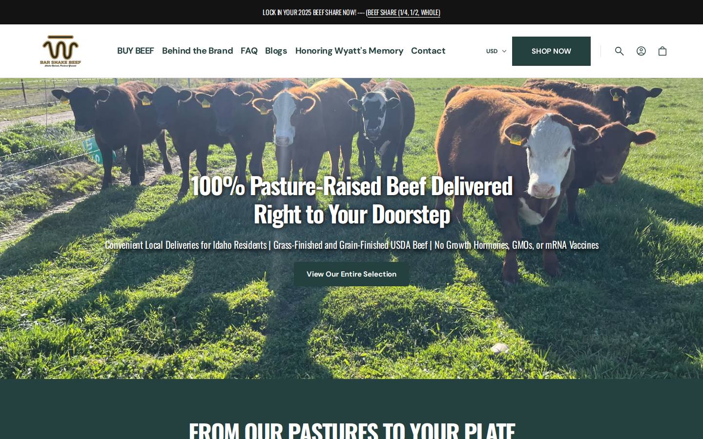 barsnakebeef.com homepage screenshot