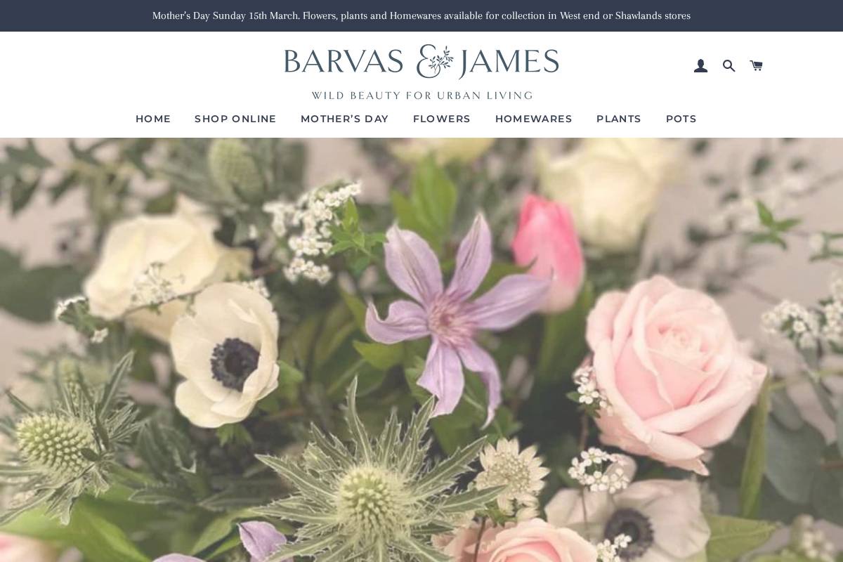 barvasandjames.com homepage screenshot