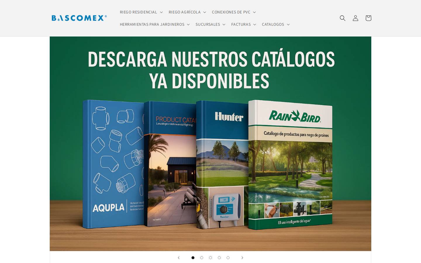 bascomex.com homepage screenshot