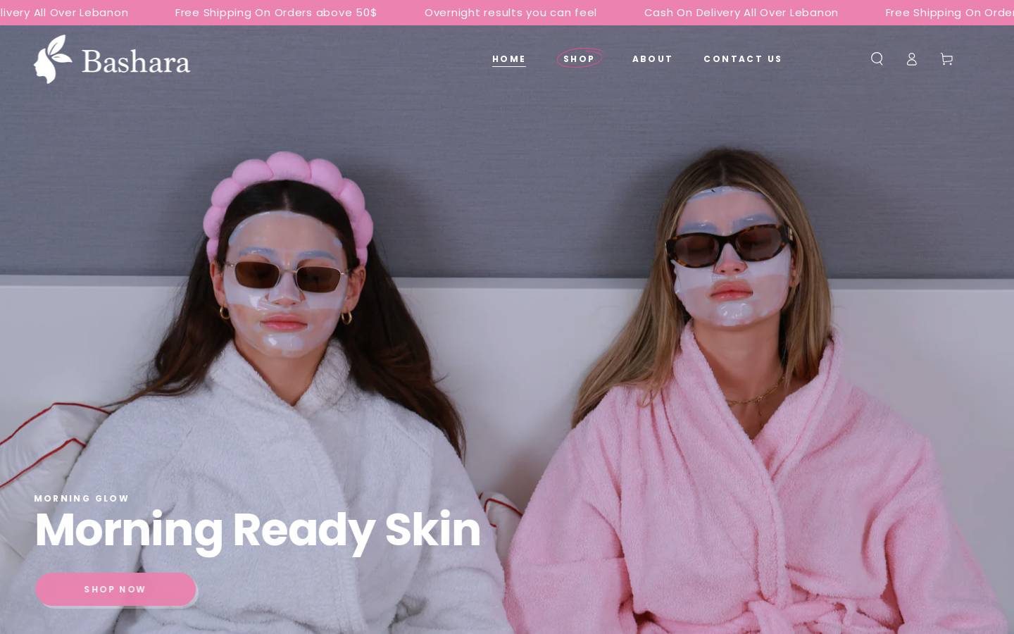 basharaskin.com homepage screenshot