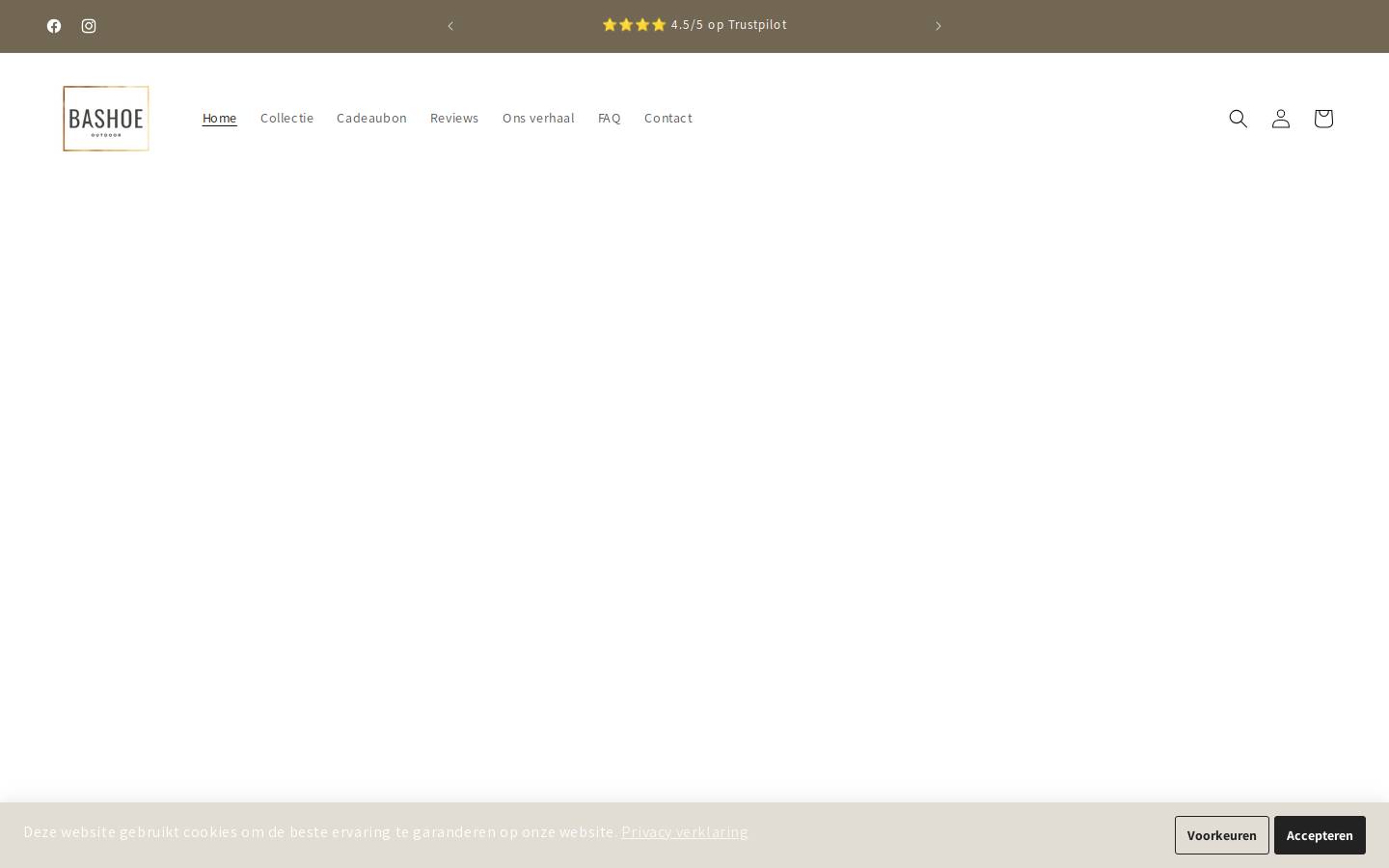 BASHOE homepage screenshot