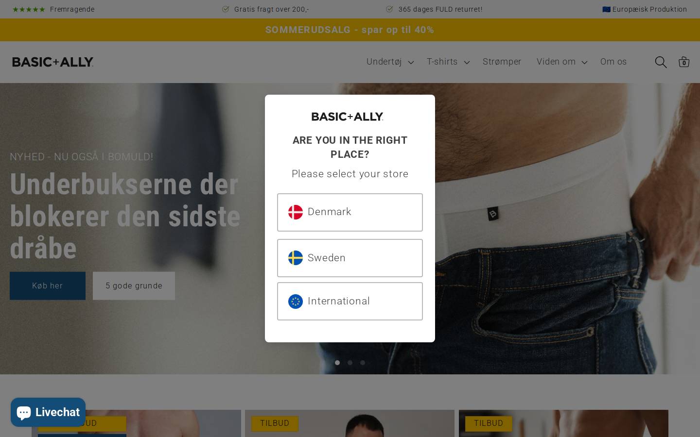 Basicandally homepage screenshot