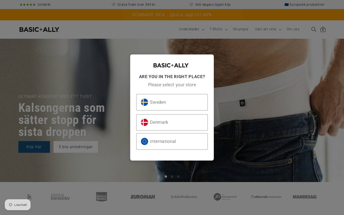 Basicandally homepage screenshot