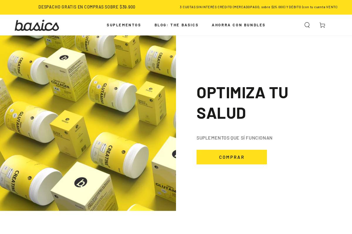 basics.cl homepage screenshot