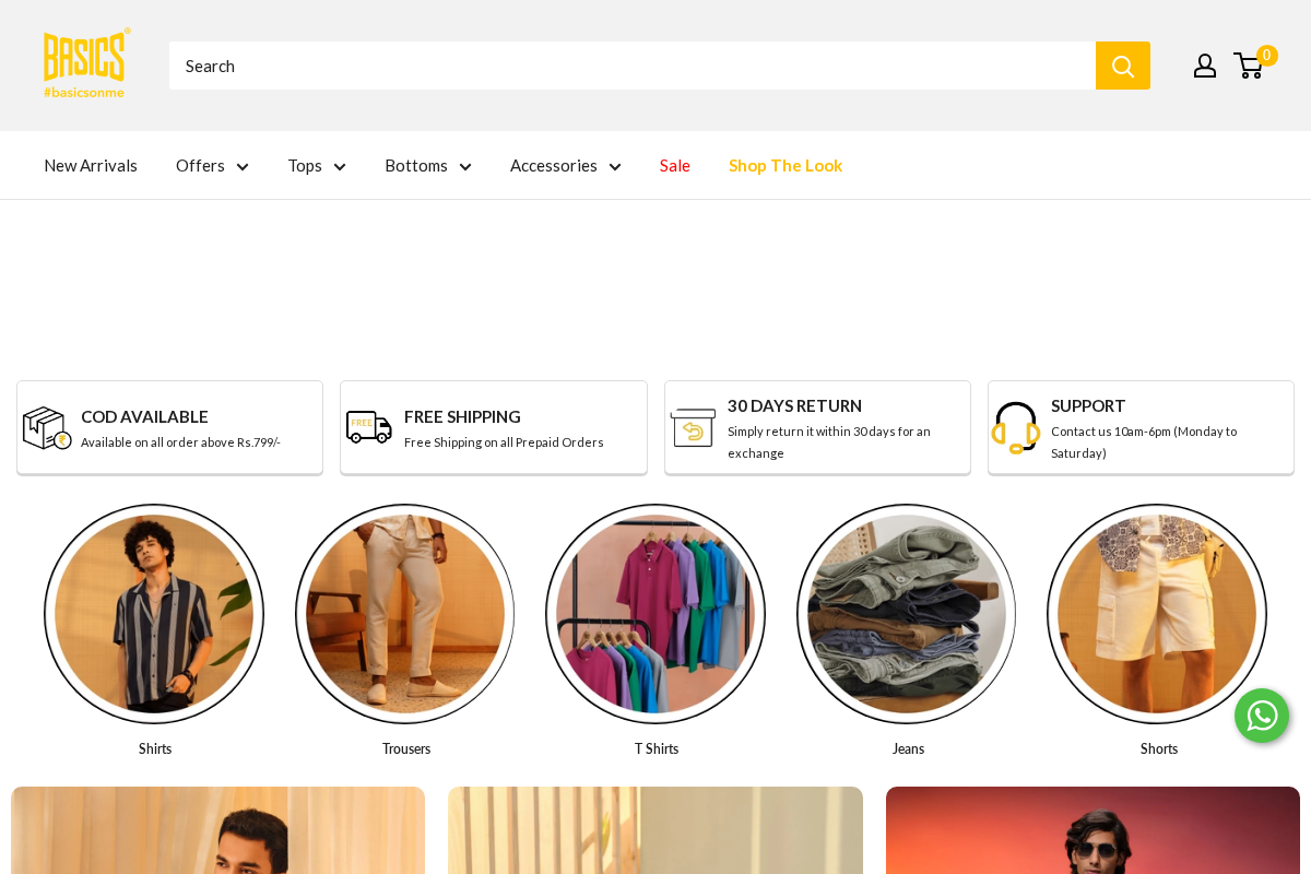BasicsLife homepage screenshot
