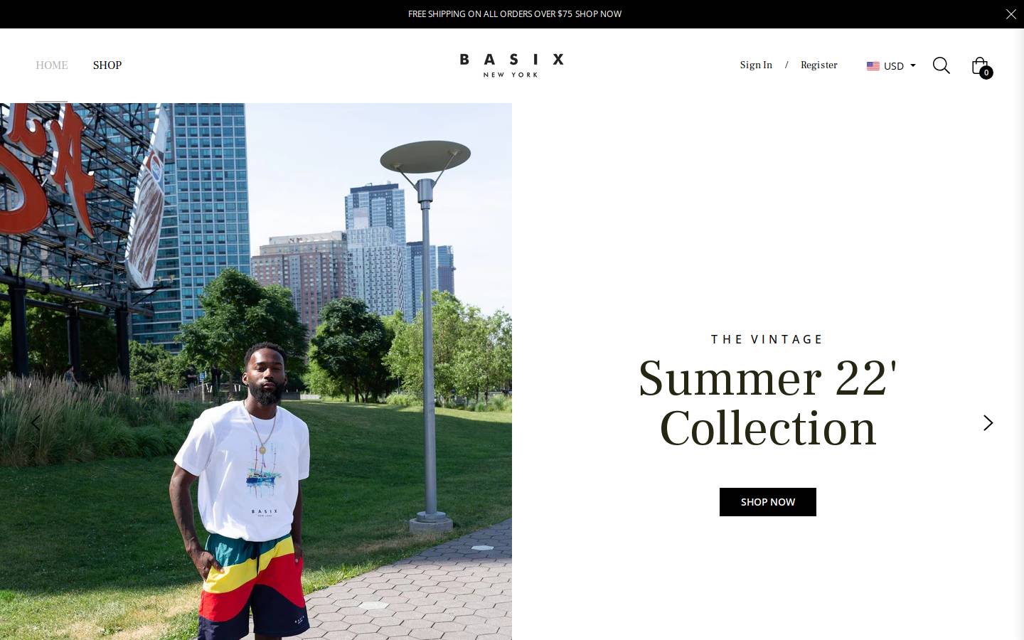 Basixnewyork homepage screenshot