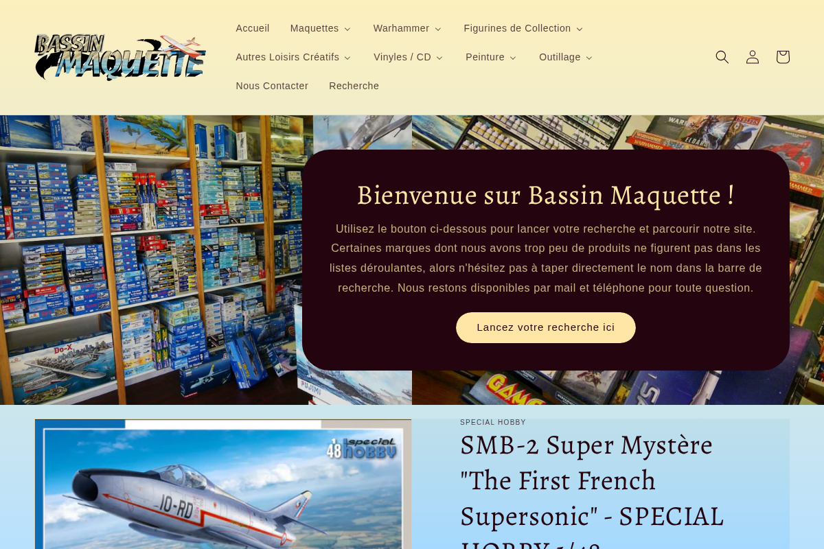 bassin-maquette.fr homepage screenshot