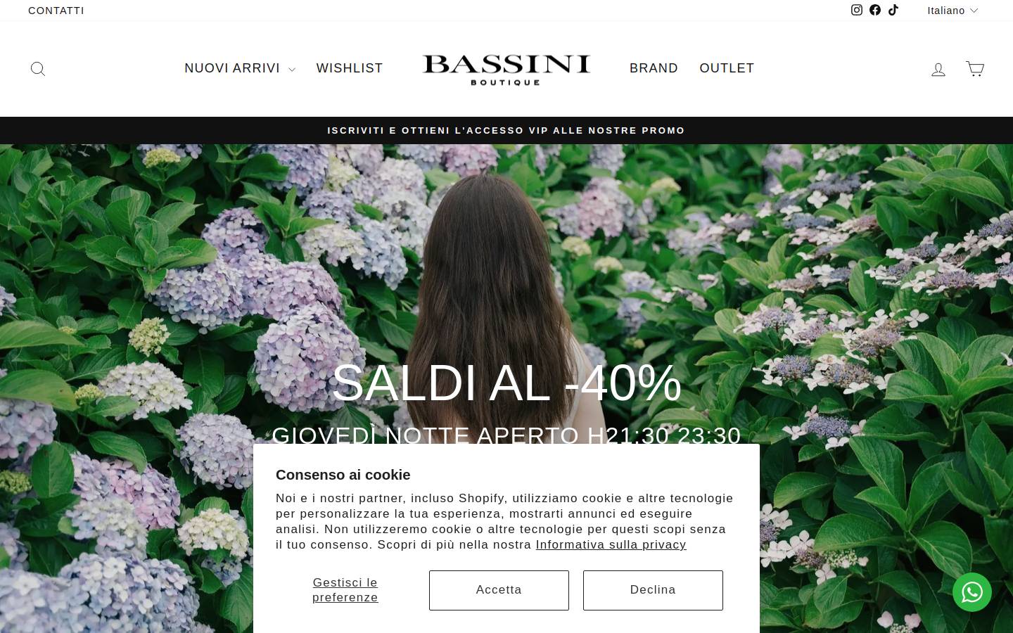 Bassiniboutique homepage screenshot