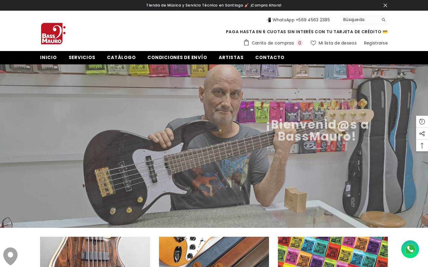 bassmauro.cl homepage screenshot