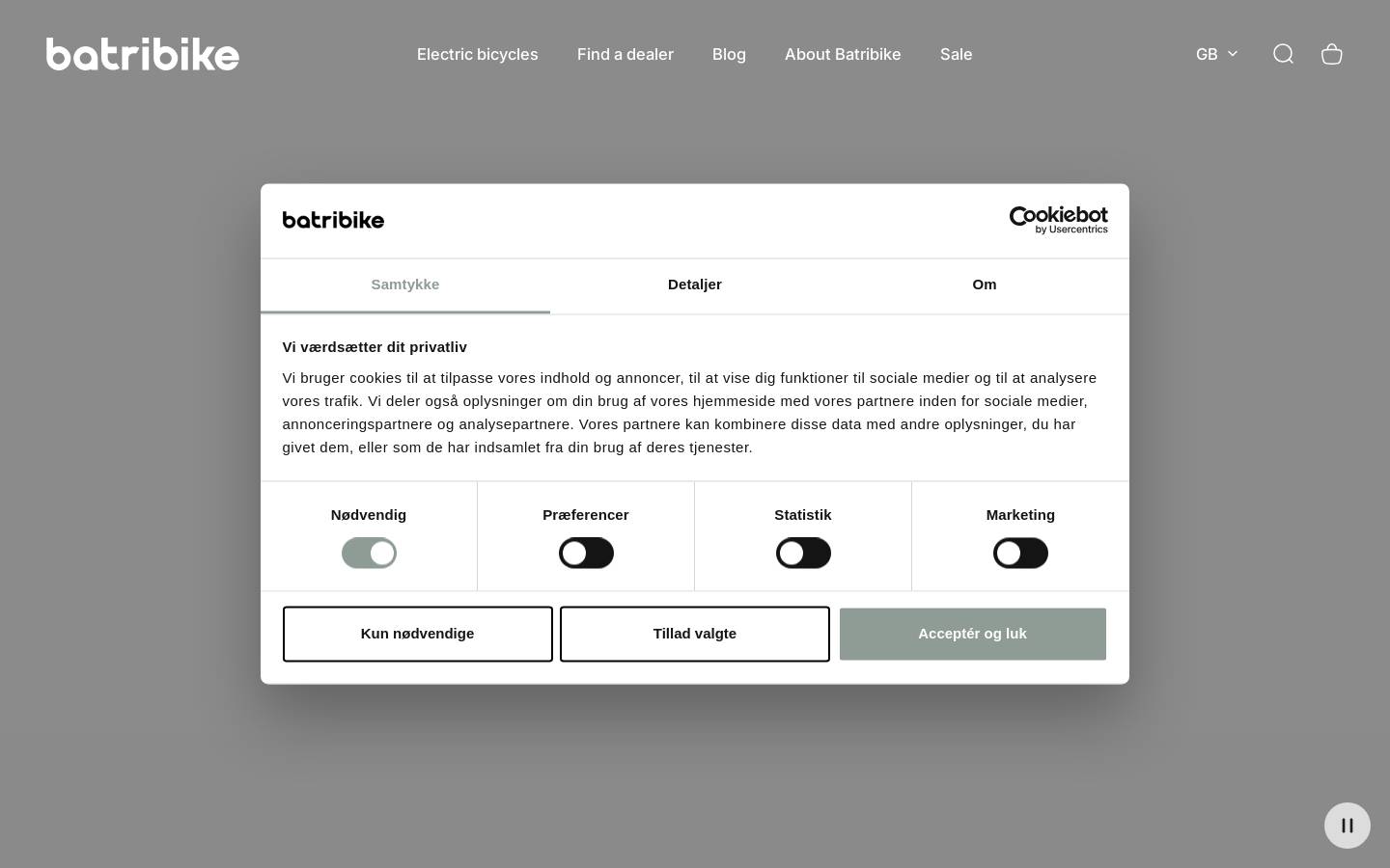 Batribike homepage screenshot