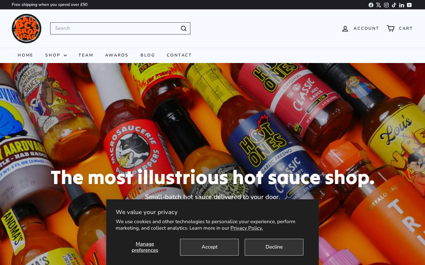 BauceBrothers homepage screenshot