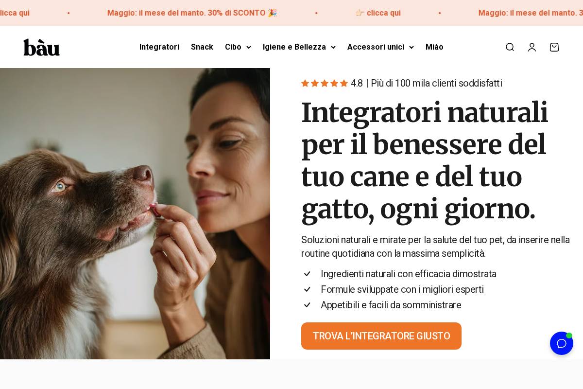 baucosmesi.it homepage screenshot
