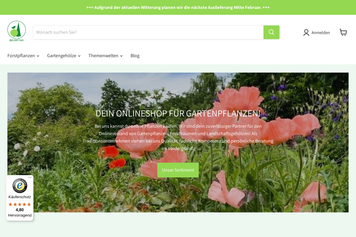 Baumfink homepage screenshot