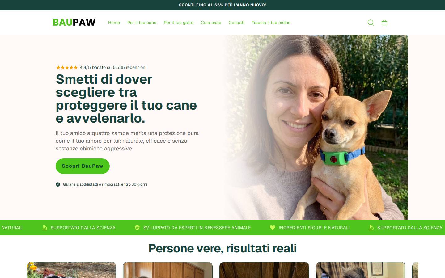 Baupaw homepage screenshot
