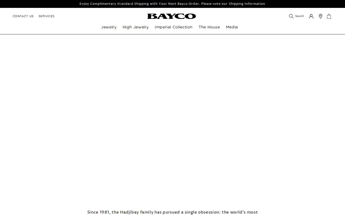 bayco.com homepage screenshot
