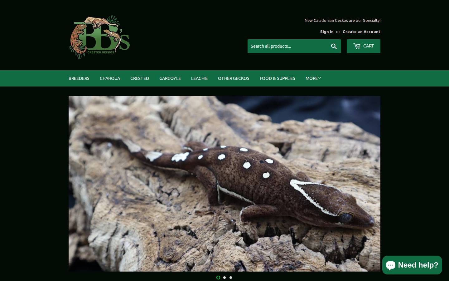 bbscrestedgeckos.com homepage screenshot