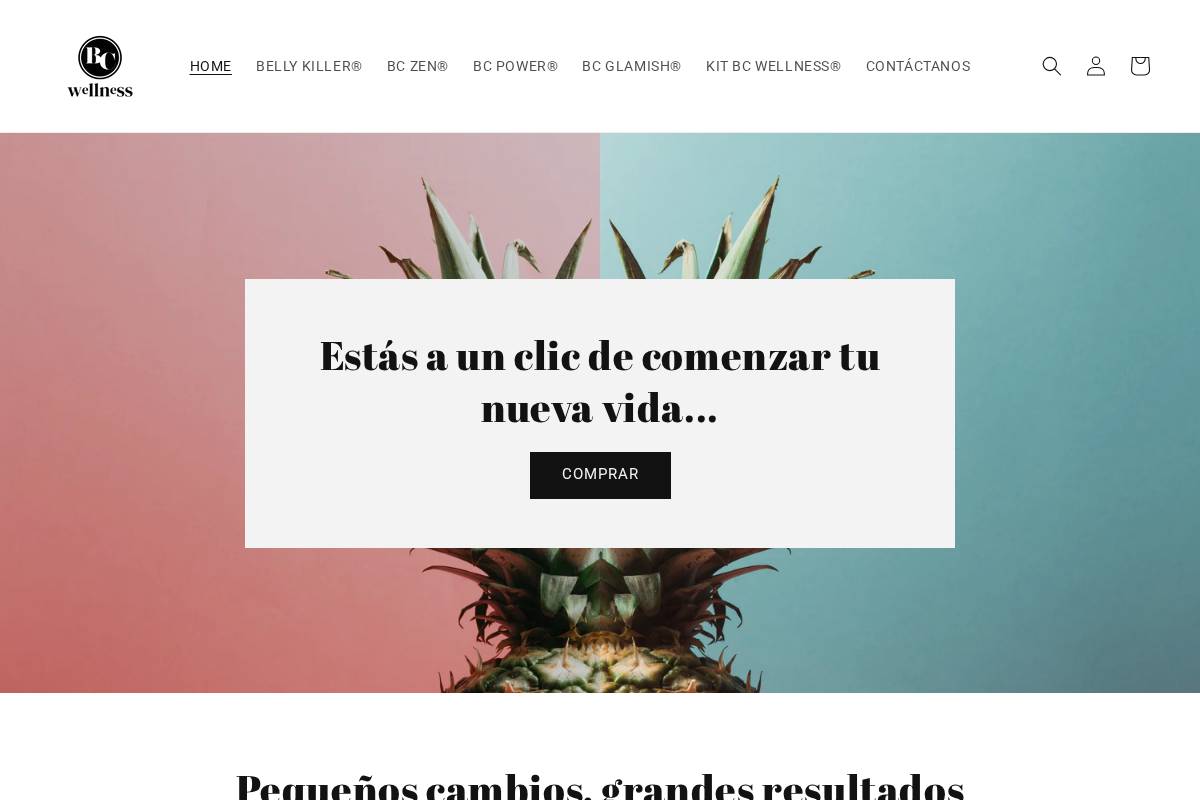 bc-wellness.com homepage screenshot