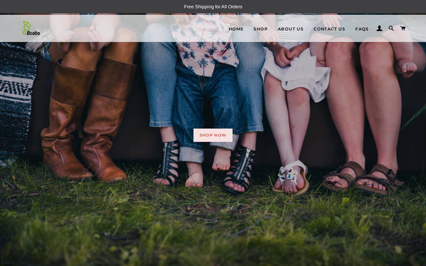 bcabo.com homepage screenshot