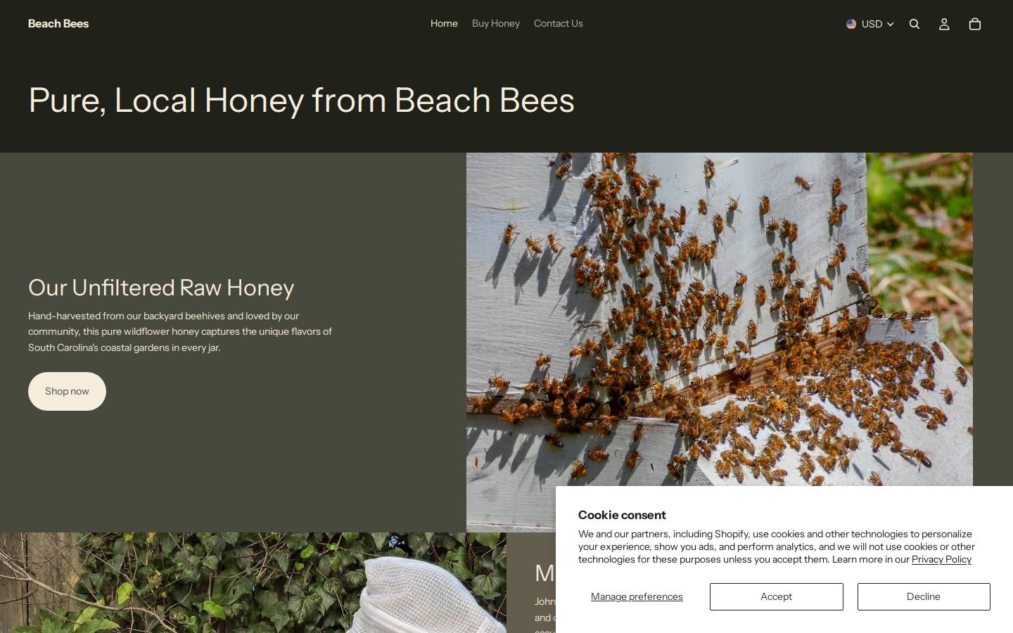 beach-bees.com homepage screenshot