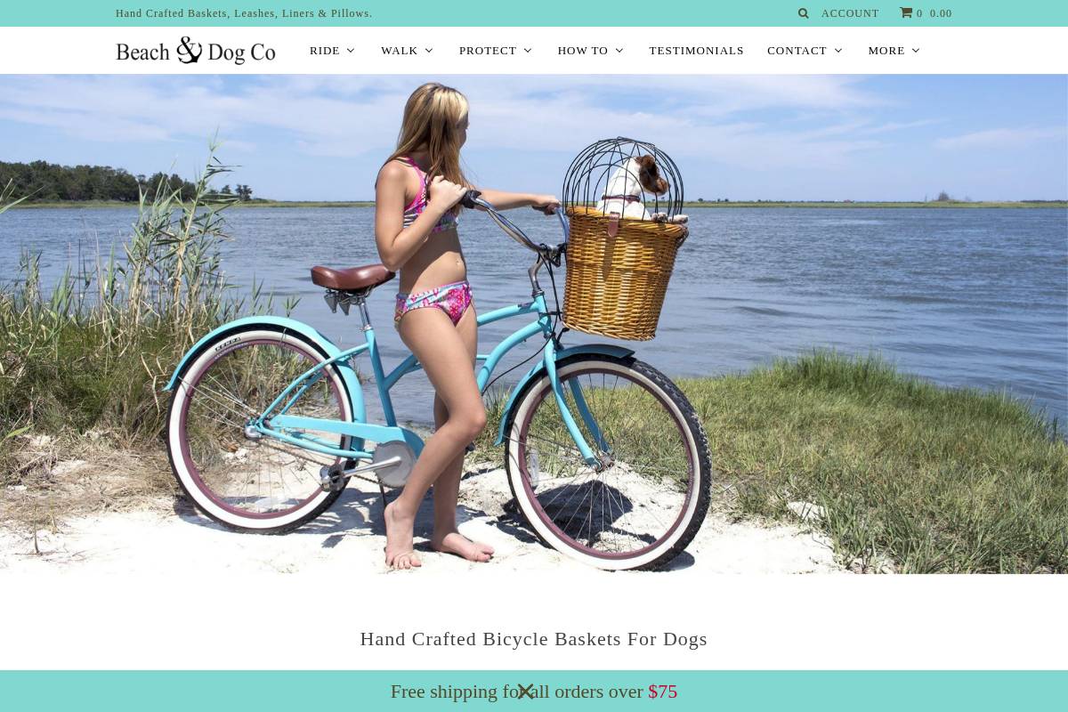 Beachanddog homepage screenshot