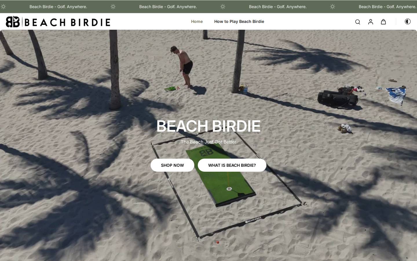 beachbirdie.com homepage screenshot