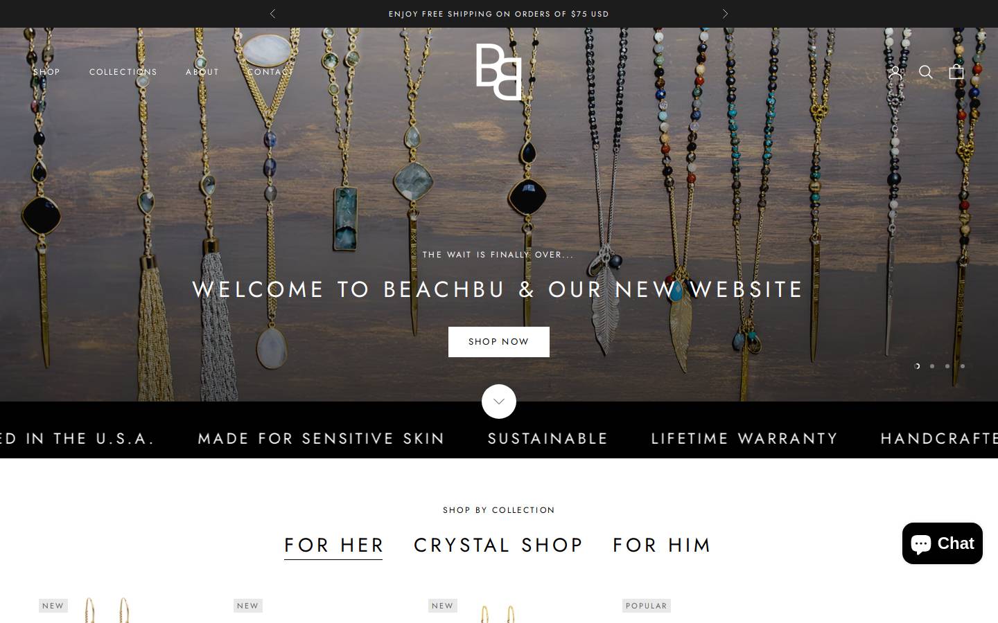 beachbu.com homepage screenshot
