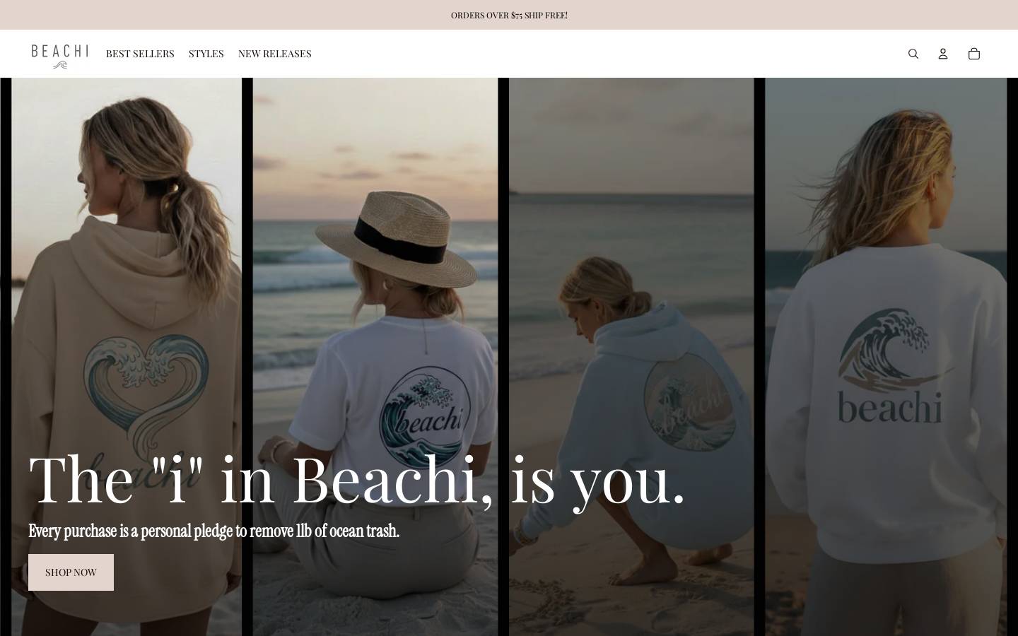 beachi.org homepage screenshot