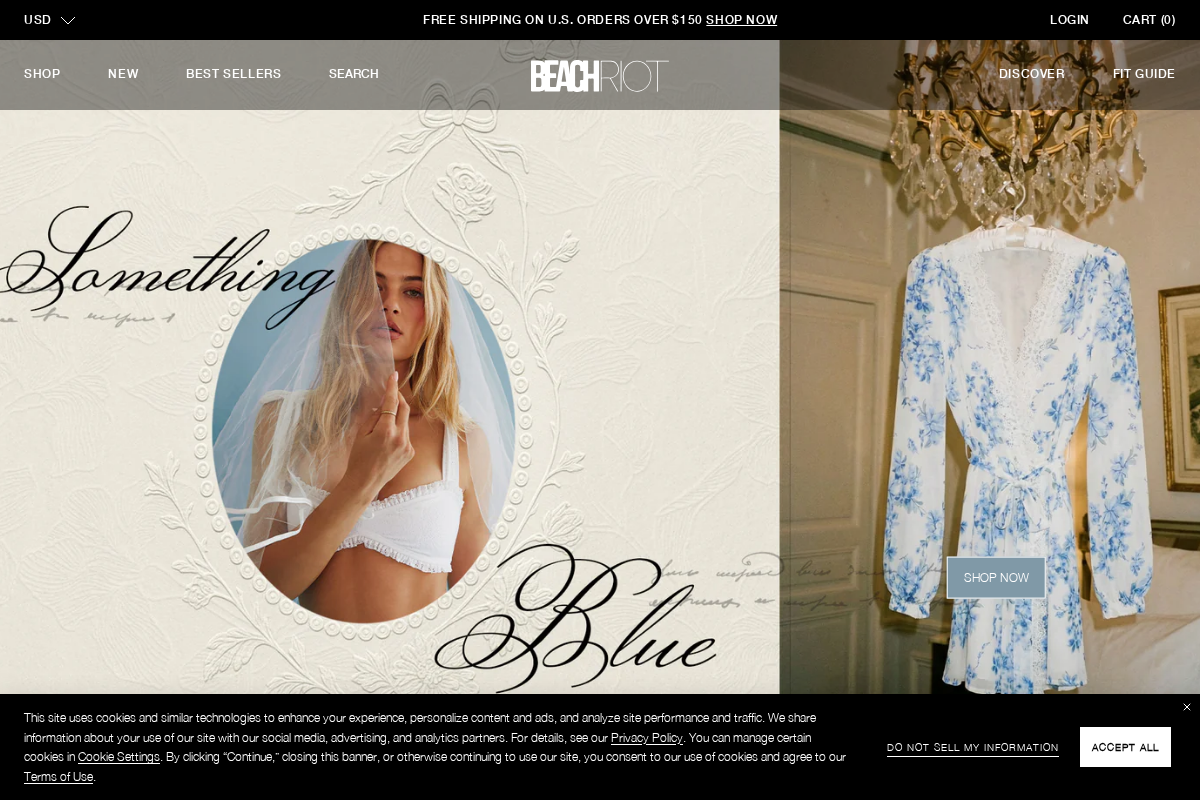 beachriot.com homepage screenshot