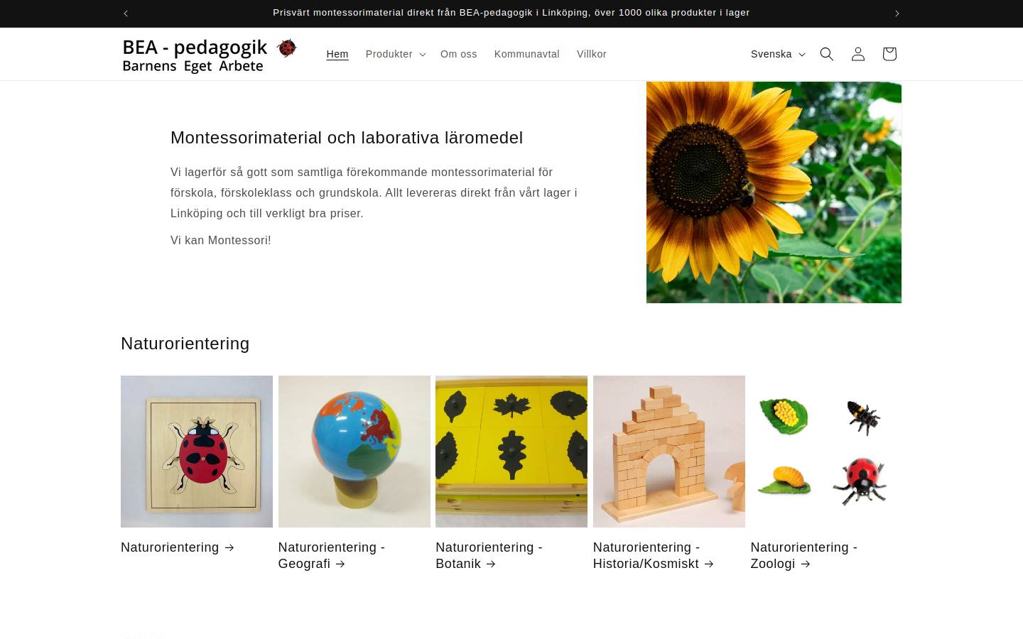beapedagogik.se homepage screenshot