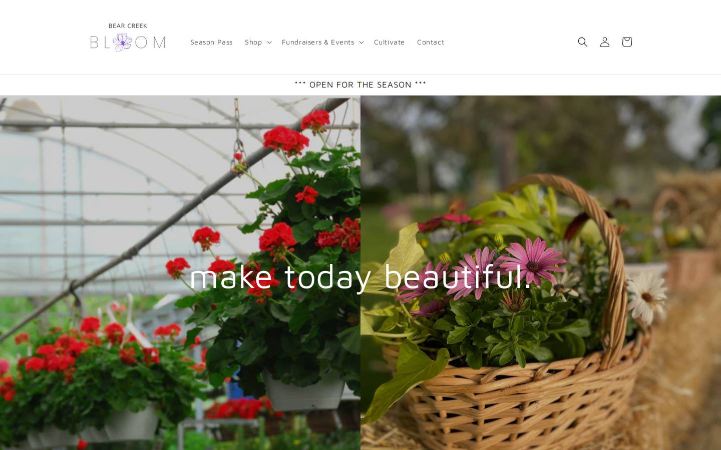 bearcreekbloom.com homepage screenshot