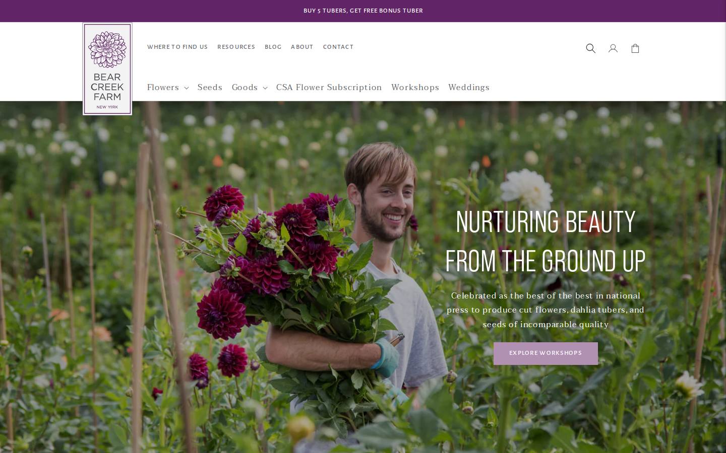 bearcreekfarm.com homepage screenshot