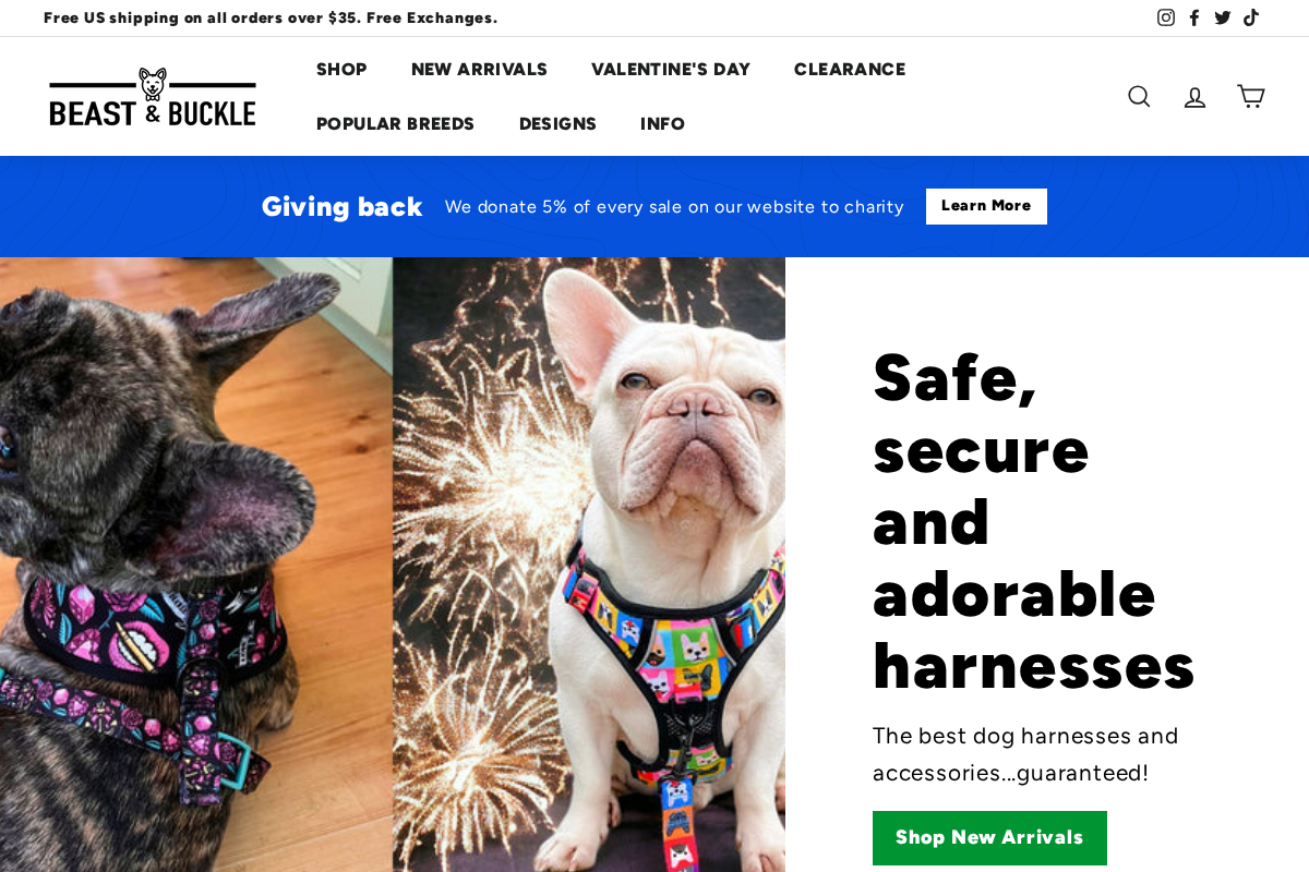 Beast & Buckle homepage screenshot