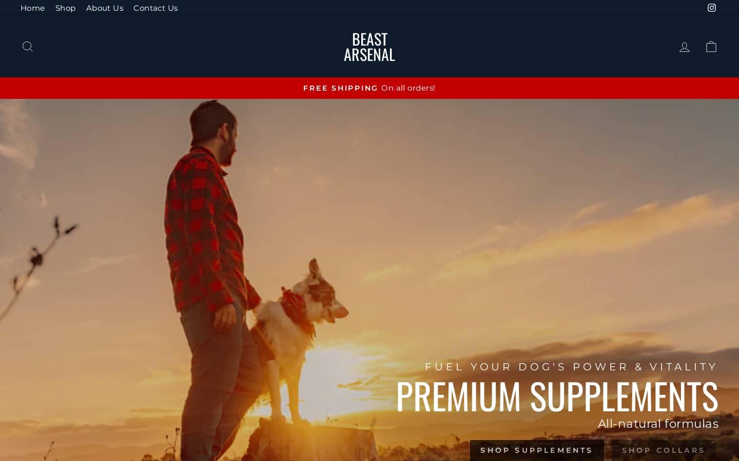 beastarsenalgear.com homepage screenshot