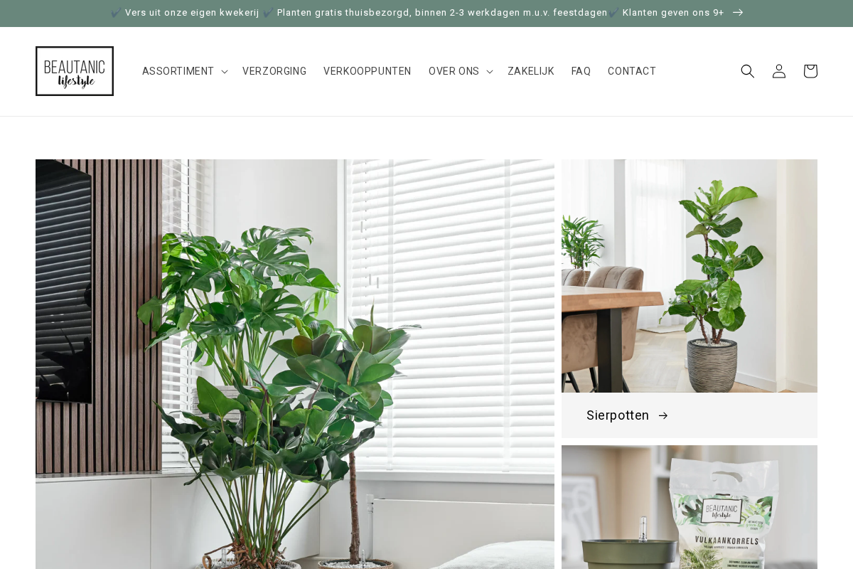 Beautanic Lifestyle homepage screenshot