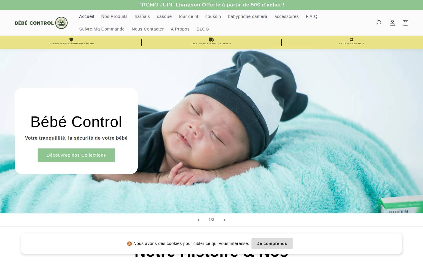 Bebecontrol homepage screenshot