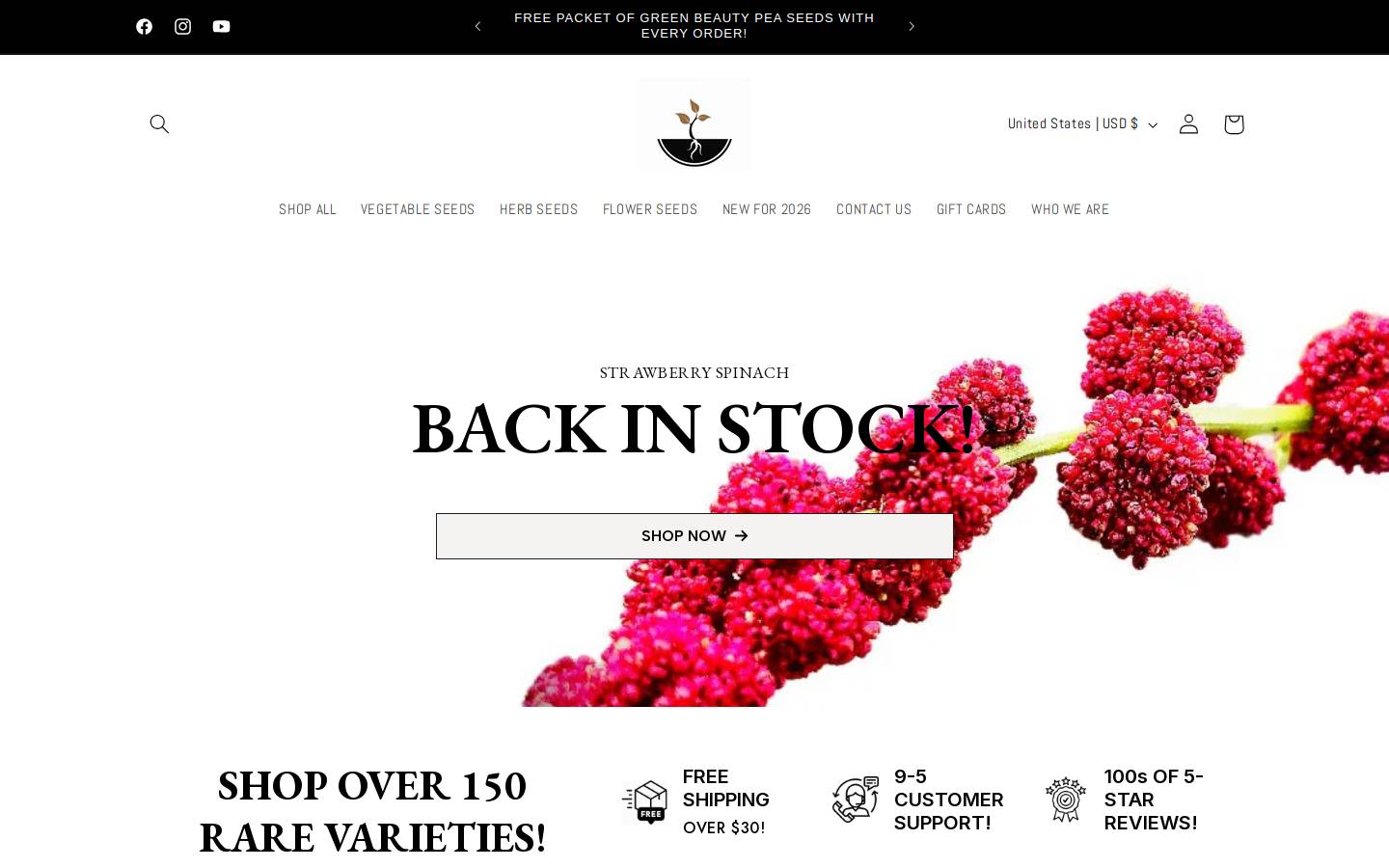 beebeseeds.com homepage screenshot