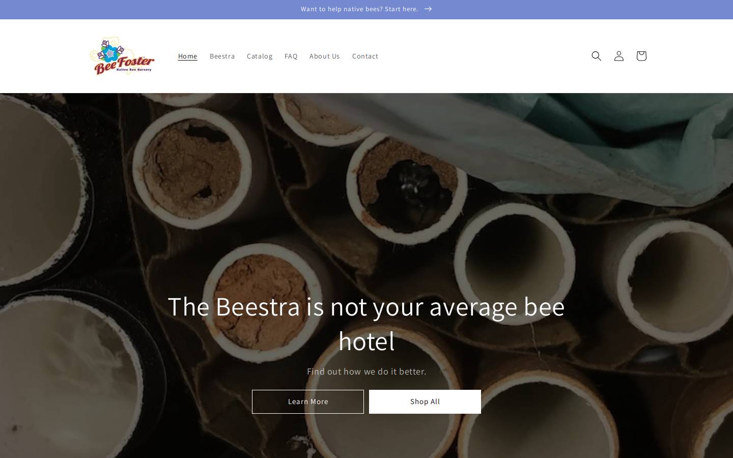 beefoster.com homepage screenshot
