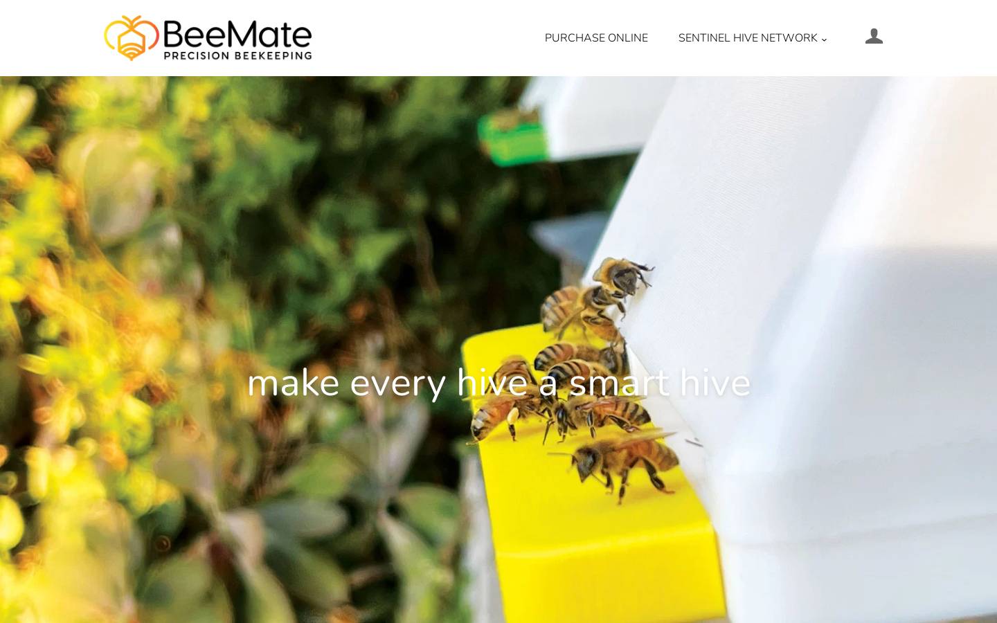 beemate.buzz homepage screenshot